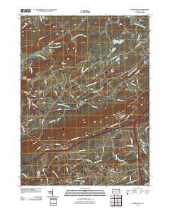 2010 Map of Sybertsville, 2010 Print