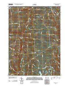 2010 Map of Townville, 2010 Print