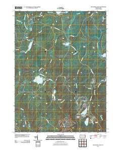 2010 Map of Twelvemile Pond, 2010 Print