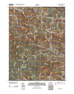 2010 Map of Wallaceton, 2010 Print