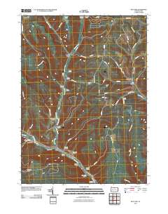 2010 Map of West Pike, 2010 Print