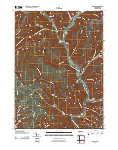 2010 Map of Wharton, 2010 Print