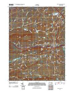 2010 Map of White Haven, 2010 Print