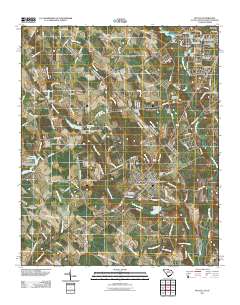 2011 Map of McColl, 2011 Print
