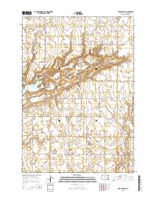 2015 Map of Lake Byron SE, 2015 Print