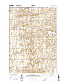 2015 Map of Raymond SE, 2015 Print