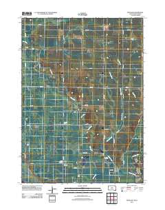 2011 Map of Richland, 2011 Print