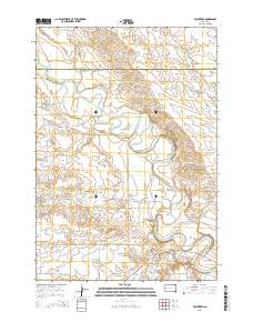 2015 Map of Volunteer, 2015 Print