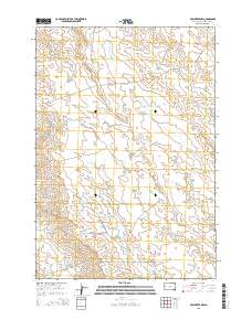 2015 Map of Volunteer NW, 2015 Print
