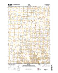 2015 Map of White Owl, 2015 Print