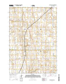 2015 Map of Willow Lake SW, 2015 Print