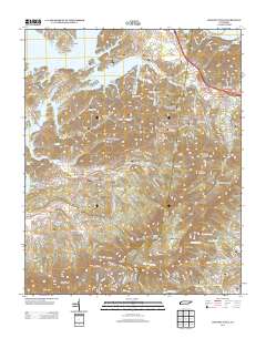 2013 Map of Chestnut Hill, 2013 Print