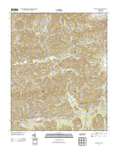 2013 Map of Jones Cove, 2013 Print