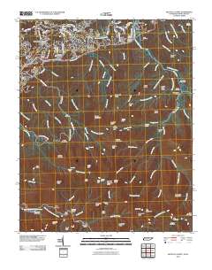 2010 Map of Mount Le Conte, 2010 Print
