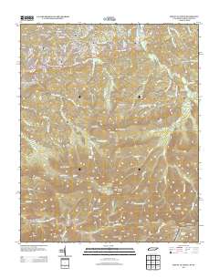 2013 Map of Mount Le Conte, 2013 Print