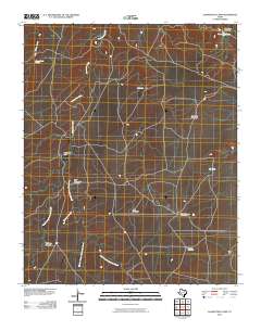 2010 Map of Alamocitos Camp, 2010 Print