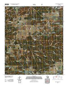 2010 Map of Apple Springs, 2010 Print