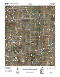 2010 Map of Aubrey, 2010 Print