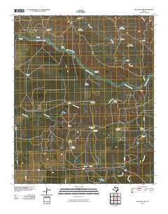 2010 Map of Ballard Camp, 2010 Print