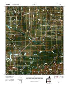 2010 Map of Bassett, 2010 Print