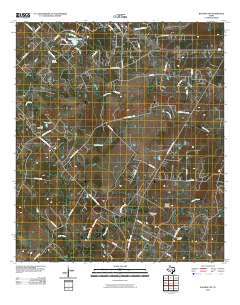2010 Map of Bastrop SW, 2010 Print