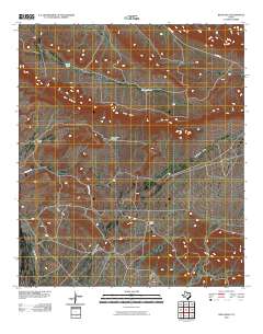 2010 Map of Bean Hills, 2010 Print