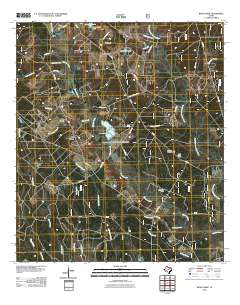2010 Map of Bear Creek, 2010 Print