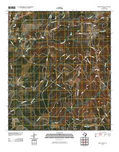 2010 Map of Beech Grove, 2010 Print
