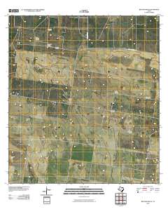 2010 Map of Bentsen Ranch, 2010 Print