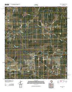 2010 Map of Bevil Oaks, 2010 Print