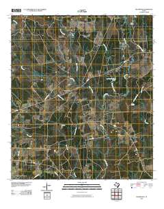 2010 Map of Bleakwood, 2010 Print