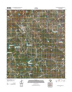 2012 Map of Blooming Grove, 2012 Print
