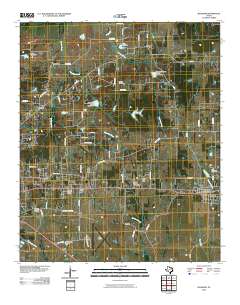 2010 Map of Blossom, 2010 Print