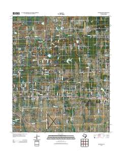 2013 Map of Blossom, 2013 Print