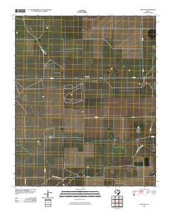2010 Map of Bootleg, 2010 Print