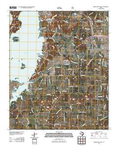 2010 Map of Bridgeport West, 2010 Print