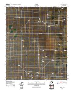 2010 Map of Bronco, 2010 Print