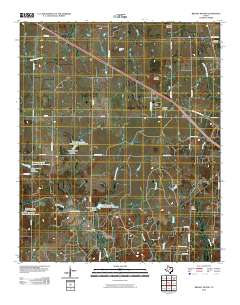 2010 Map of Brushy Mound, 2010 Print