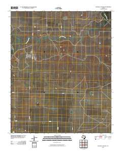 2010 Map of Buffalo Lake SW, 2010 Print