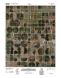 2010 Map of Cactus West, 2010 Print