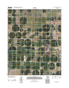 2012 Map of Cactus West, 2012 Print