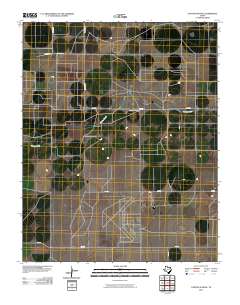 2010 Map of Canyon School, 2010 Print