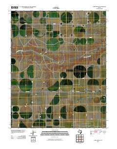 2010 Map of Capps Switch, 2010 Print