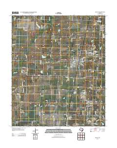 2013 Map of Celina, 2013 Print