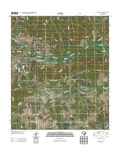 2013 Map of Centralia, 2013 Print