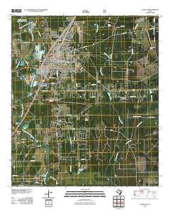 2010 Map of Cleveland, 2010 Print
