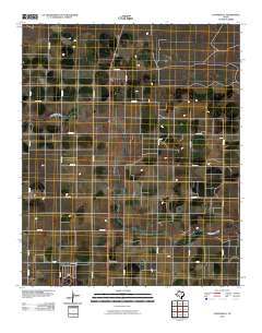 2010 Map of Cofferville, 2010 Print