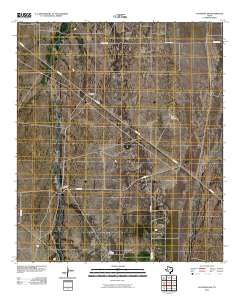 2010 Map of Coyanosa SW, 2010 Print