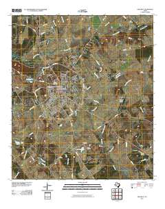 2010 Map of Crockett, 2010 Print