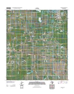 2013 Map of Daisetta, 2013 Print